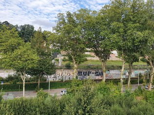 Couverture lierre mur SNCF avenue de boigne centre nord