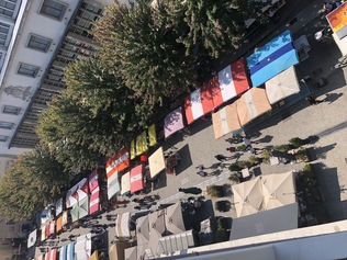 Place de Genève, végétaliser entre les arbres